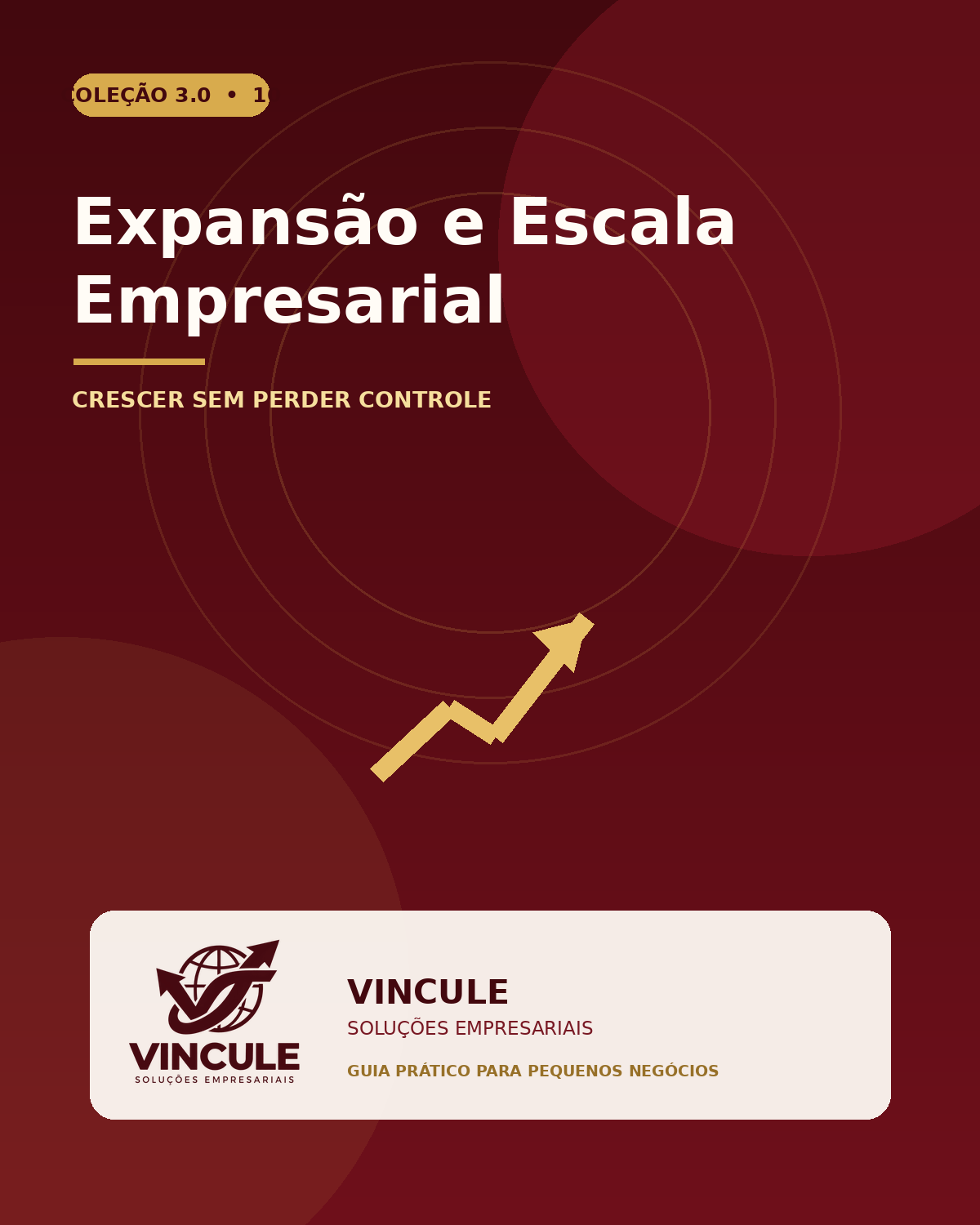 Capa do e-book Expansão e Escala Empresarial